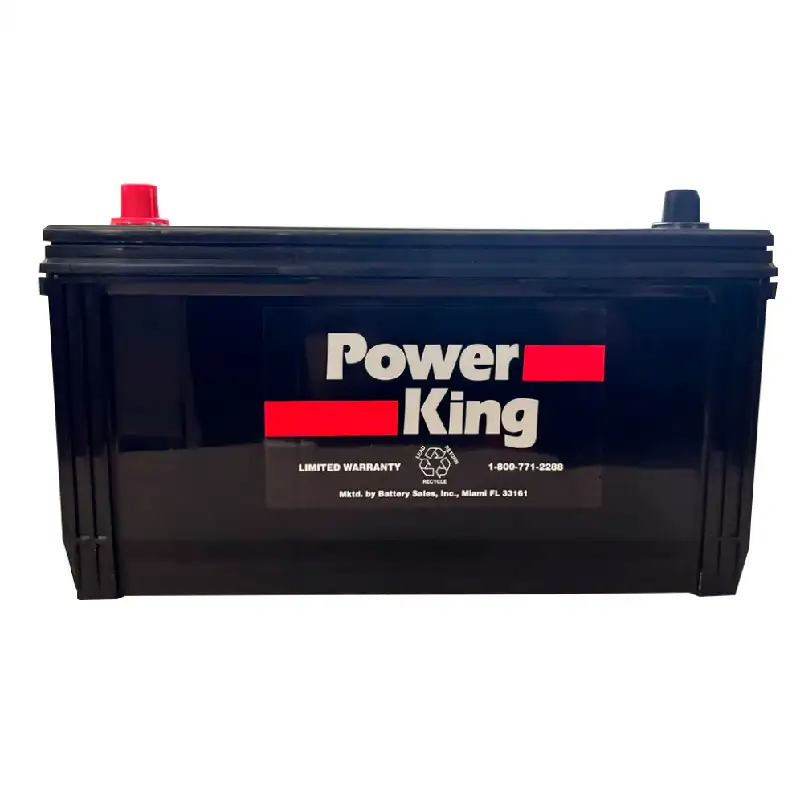 Ficami-100 AH Power King